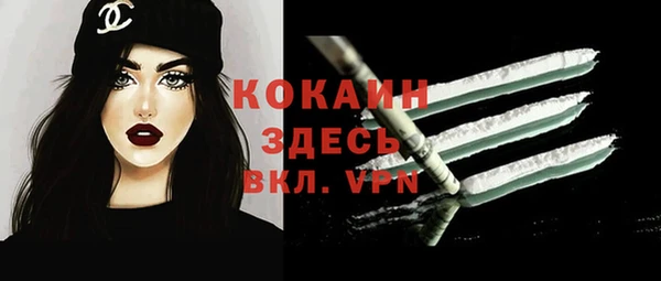 спиды Няндома