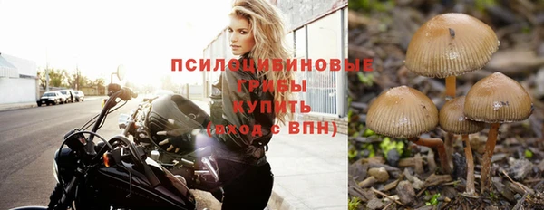 спиды Нягань