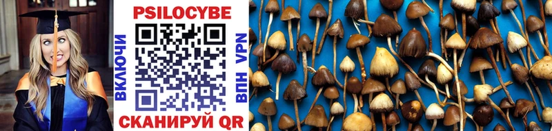 Галлюциногенные грибы Psilocybe  kraken как войти  Алексин 