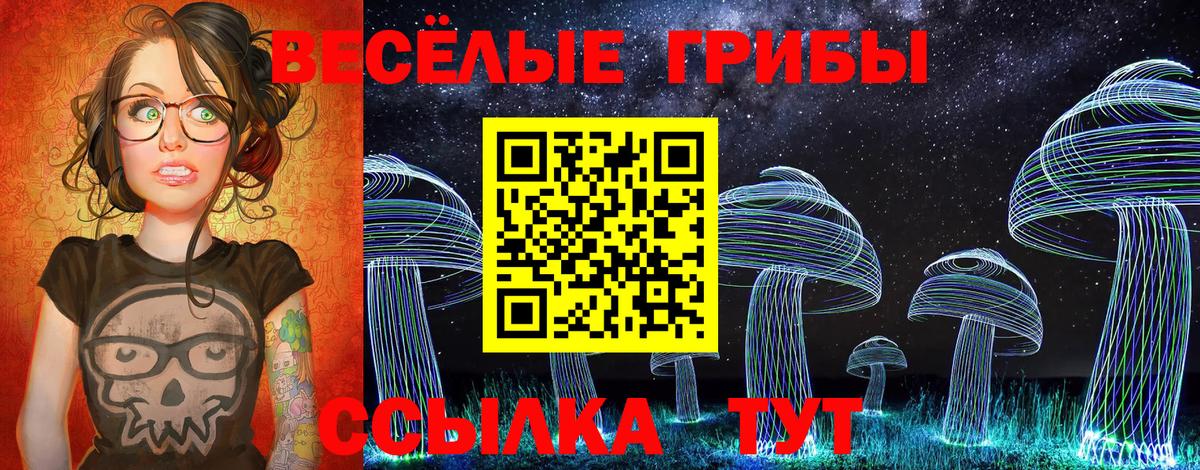 Псилоцибиновые грибы GOLDEN TEACHER  цены   Алексин  Вход с VPN 
