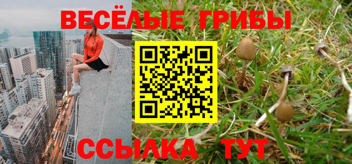 продажа наркотиков  Алексин  Псилоцибиновые грибы ЛСД 